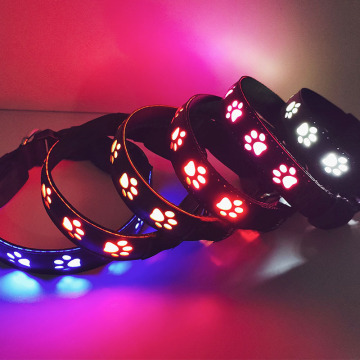 LED Light Up Dog Collar and Leash Set - Competitive Prices