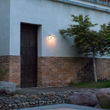Outdoor LED Wall Light 2502 48xSMD 6W