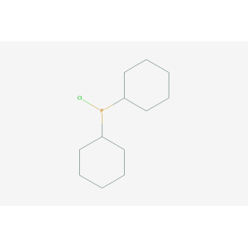 Dicyclohexylclorophosphine ، 98+٪ CAS 16523-54-9