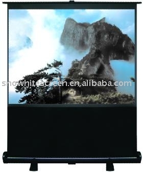 Floor Screens