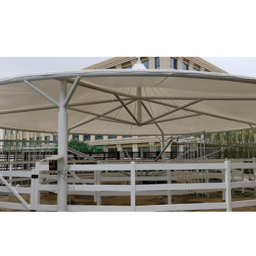 CE Certified Horse Walker with 750 Watt Motor