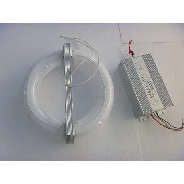40W~300W electrodeless induction lamp
