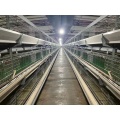 Broiler cage system(hot-dip galvanizing)