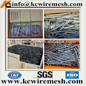 Corrugated iron nails/common nails distributor in China.