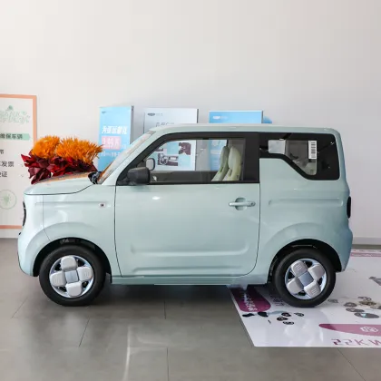 2023 Geely Panda Mini New Energy Electric Car with Airbags - GuangZhong in Stock