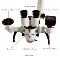 Microscope d'opération chirurgicale ORL à LED médicale