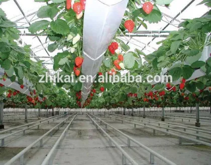 Agricultural rockwool/rockwool price/rockwool cubes