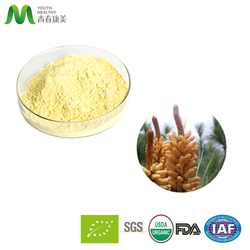 Raw Pine Pollen Powder Best Raw Pine Pollen Bulk Powder Supplier