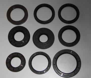FKM Frame Oil Seal