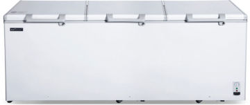 1750L solid top display ocean chest freezer BD-1750