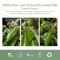 High Grade Camphor Ho Wood Essential Oil For Cosmetic