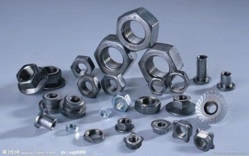 All Kinds of Assorting Nut (ZW4561)