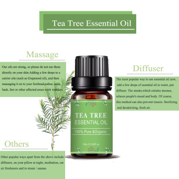 OEM/ODM Tea Tree Essential Oil For Astringent Pore
