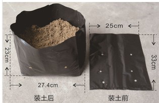 Black Plastic Plant Nursery Poly Bags, Plastic Bag, Non Woven Natural Bag Fabric Eco Bag