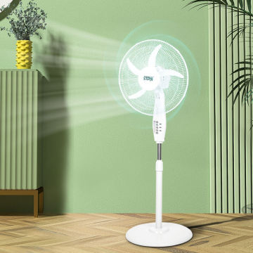 16 Inch 50W Home Standing Fan with 5 Blades and Round Base - China Factory