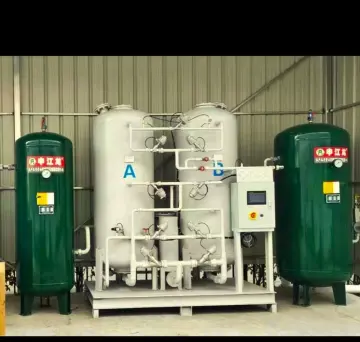 PSA Oxygen Generator System