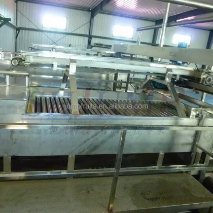 Industrial fruit and vegetable washing and drying machine