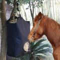 Sac à chevaux d'alimentation fonctionnelle facile à transporter