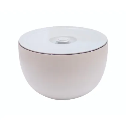 New Insulated Serving Bowl with Lid: Perfect for Keeping Food Warm