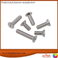 bulloni a fessura Din963 Brightfastener