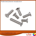 DIN963 Slotted CSK Head Screws