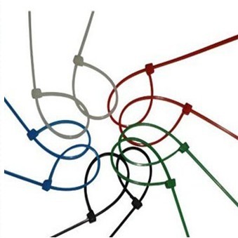PVC/Nylon/Plastic Self-Locking Cable Tie