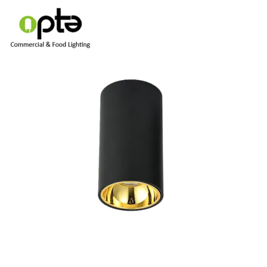 IP44 Cylindrical Round Downlight Surface Mounted for Hotel Lighting (10W-60W)