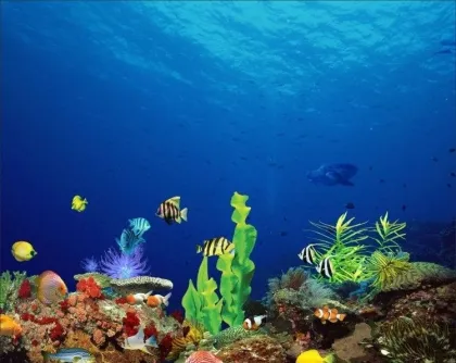 Marineland Led Fish Aquarium Light Can be Customized