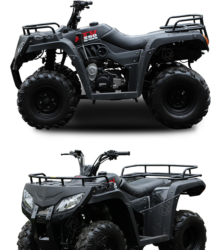 250cc_06
