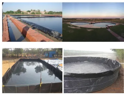 epdm move small pond