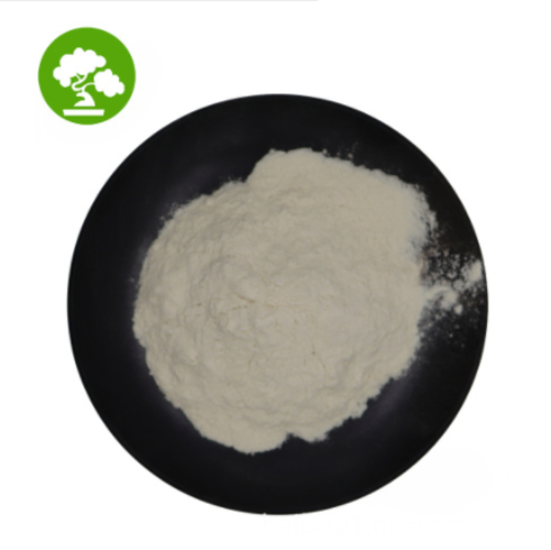 Nano Hydroxyapatite Powder for Toothpaste