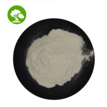 Nano Hydroxyapatite Powder pour le dentifrice