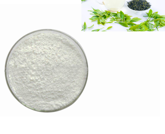 Supply 90% 95% 98% EGCG Green Tea Extract