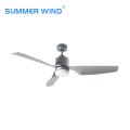 Decorative room WIFI ceiling fan light