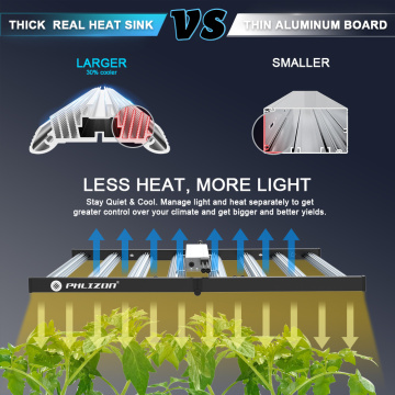 플리인 저렴한 LED 성장 조명 800W