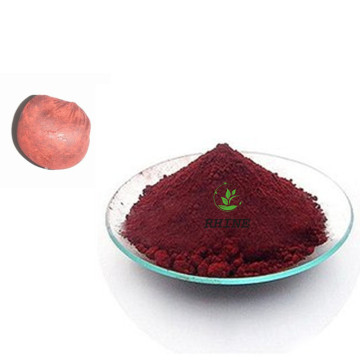 Organische Dragon Bloedhars Extract Powder