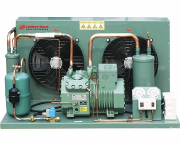 Bitzer Air Cooled Low Temperature Compressor Refrigeration Freezer Condensing Unit for Cold Rooms (R404/R507)