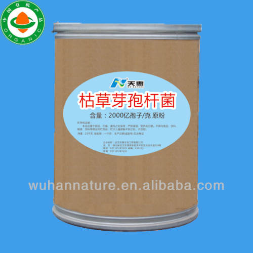 buy bacillus subtilis 200 billion cfu/g TP