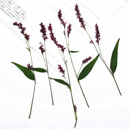 Rose Lily Safflower DIY Flower Art Pack