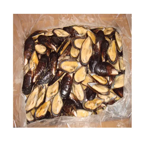 Fresh Frozen Mussel Meat Shellfish Detail Half Shell Mussel Frozen