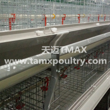 Broiler cage system for Chicken Farming