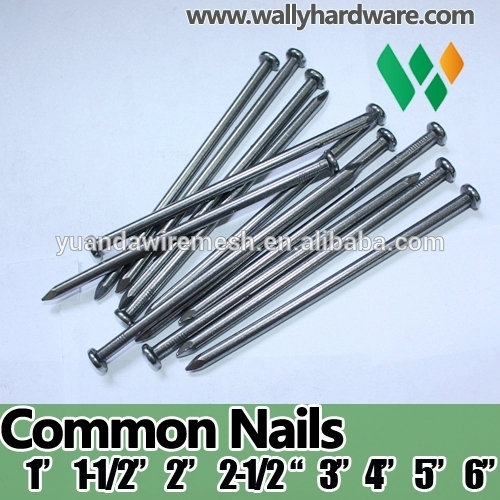 13mm 19mm 16mm 25.4mm 32mm 38mm 50.8mm 63.5mm 76.2mm 89mm 100mm common nails for construction usage iron nails                        
                                                Quality Choice