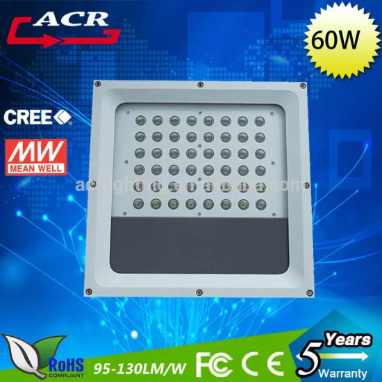 Retrofit LED Canopy Light for Gas Station,Petrol Station LED Light 60w