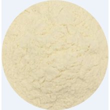 OEM Top Quality Freeze Dried Lactobacillus Casei Powder