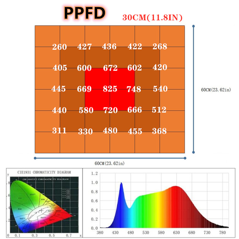 led lights