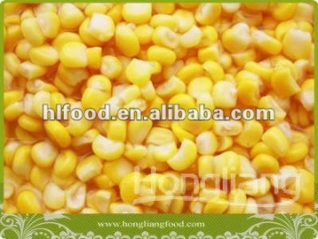 canned sweet corn 340G