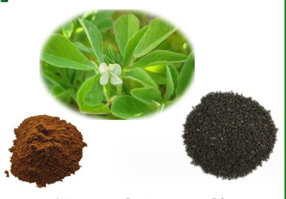 Fructus Psoraleae Extract Psoralen