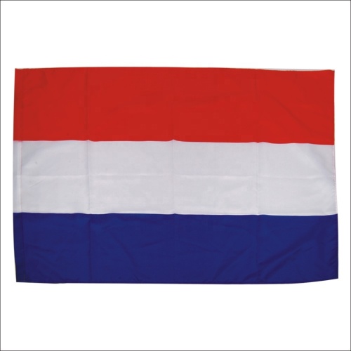 Hot Selling  Factory Maker Polyester National Flag