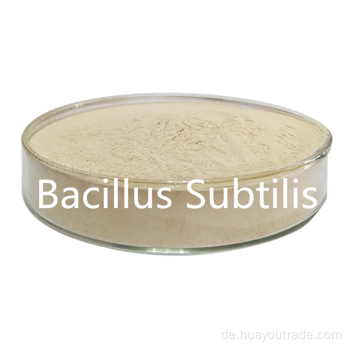 Bacillus subtilis lösliches Wasser 300cfu/g Futtermittelzusatz