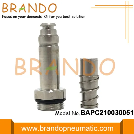 Mecair Type CP1/4 Armature Assembly Repair Kit